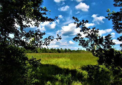 Recreational Land for Sale in Mississippi, Louisiana, and Arkansas